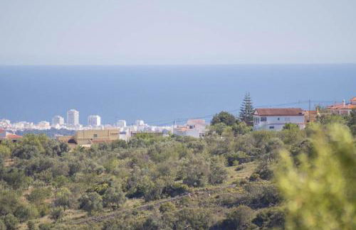 Villa Angel - Foto 46