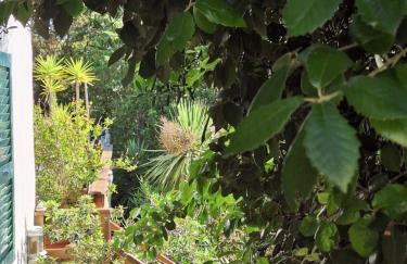 Gîte Acellu - Foto 27