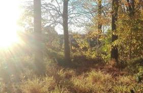 Garden Apartment Morpeth- with lockable bike storage! - Foto 30