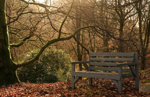 Garlies Lodge - Foto 21