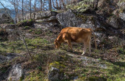 Macheta's Coutry House - Foto 73