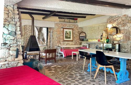 Limonaia in Salento - Foto 70