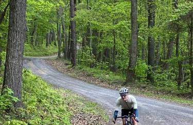 3BR Pet Friendly Cottage Mathias WV - Foto 50