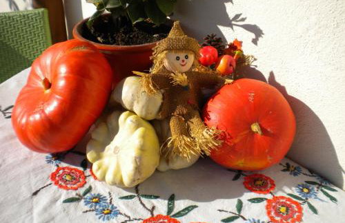 Gite Le Mandlé - Photo 44