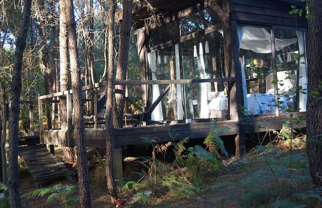 Les Landines - Foto 10