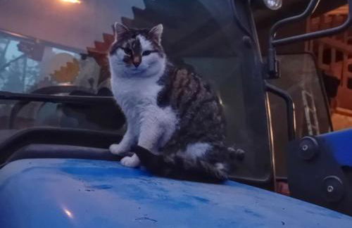 Waldacher Hof - Foto 7