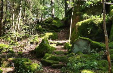 Großzügige Wohnung zum Wohlfühlen mit 116qm - Foto 19
