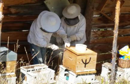 Appartement Barcelonnette Ubaye, Provence - Foto 31