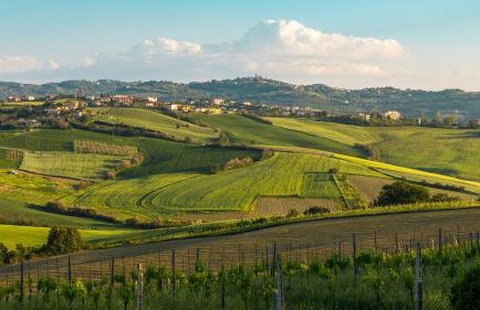 Villa California 6 in Saludecio - Foto 60