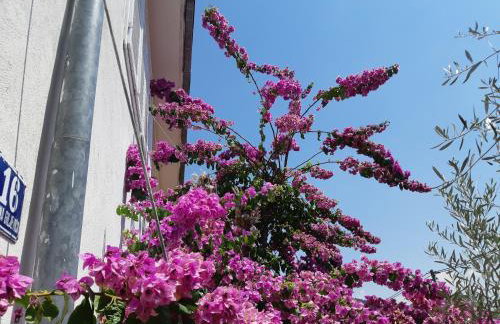 Apartman VeDE Baćina - Foto 34