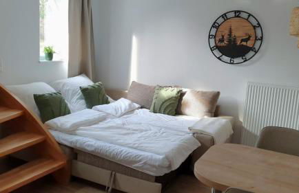 Ferienwohnung Naturpark Schwarzwald - Foto 11