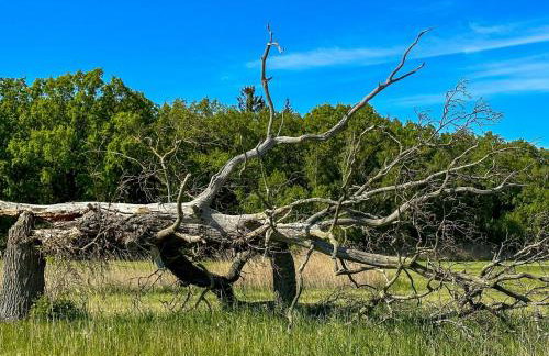 Holiday Home Boddenblick Klausdorf Am Nationalpark by Interhome - Foto 32