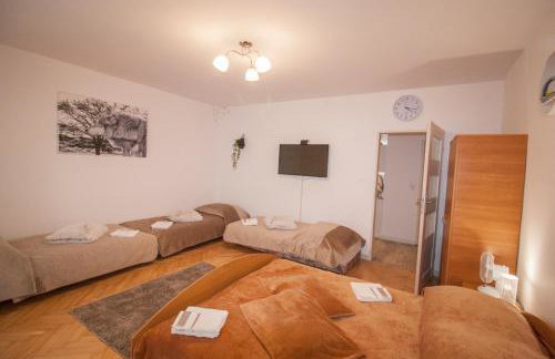Apartamenty Bieszczady - Foto 53