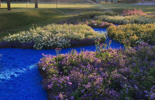 FeWo Zakharov - Foto 36