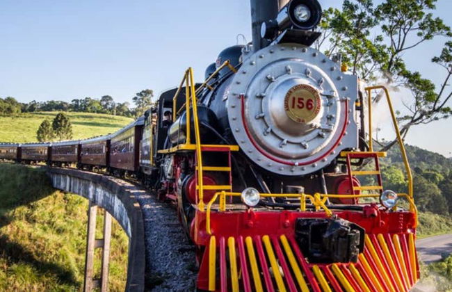 Tren Maria Fumaça + Visita a la Vinícola Aurora - Foto 9