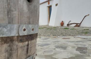 Natur Amêndoa - Photo 48