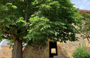 La bichonelle - marronnier pour 2 - Foto 14