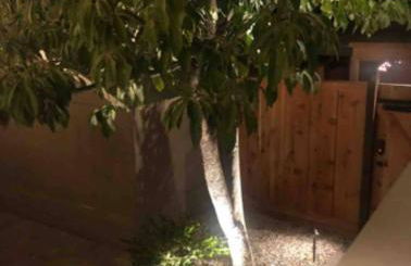 Scenic Cottage - Foto 24