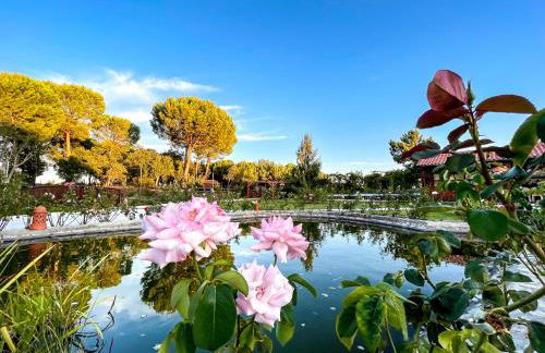 Quinta do Cutato - Piscina Guest House - Foto 21