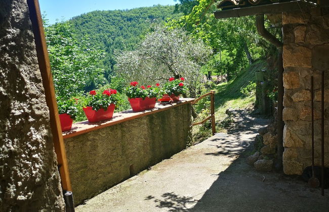 Holiday Apartment Ulivella Tuscany Garfagnana - Foto 32