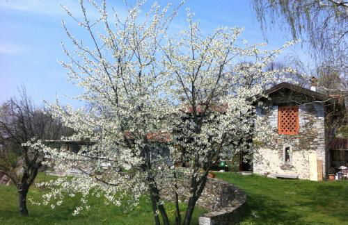 Il Ciliegio Selvatico - Foto 17