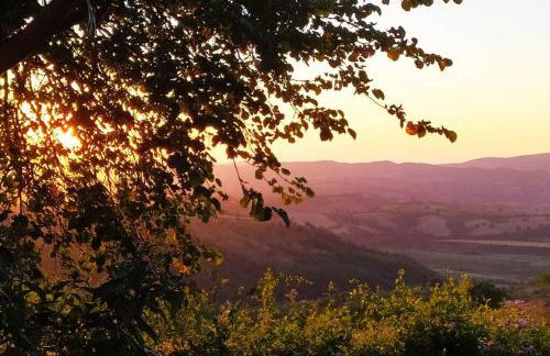 Casa Cavalli - Foto 14