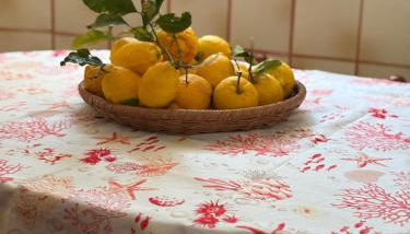 A cas e Rosa - Photo 5