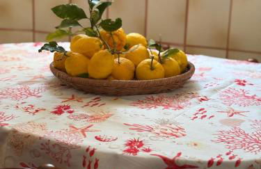 A cas e Rosa - Foto 5