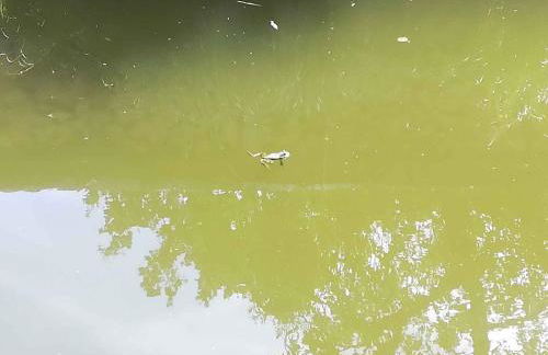 Holiday home in Trebbin 2611 - Foto 31