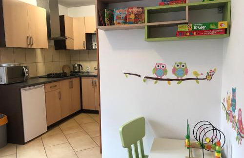 Apartamenty Milówka Centrum - Photo 8