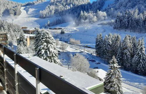 Appartement osca des brimbelles - Foto 1