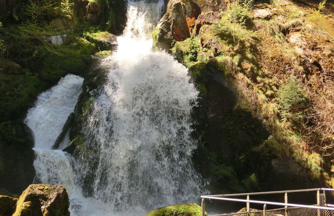 Black Forest Farmhouse in Charming Location - Foto 26