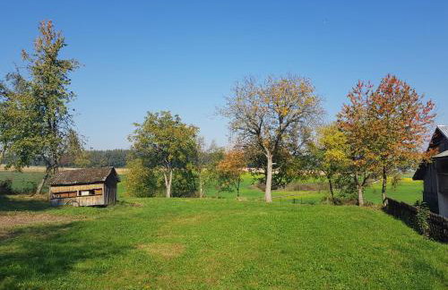 Ferienhaus Ederhof - Idyllischer Vierseithof, kinder- und hundefreundlich, Referenzen auf FeWo-direkt nachlesbar - Foto 22