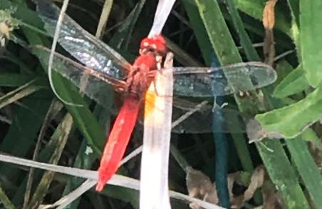 La collina delle fonti - Foto 27