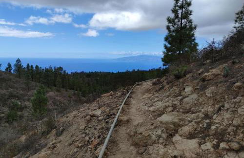 Casas Javier - Foto 25