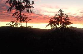 Il Paradiso all'improvviso - Photo 21