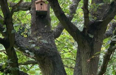 Starry Meadow & Rescued Animal Experiences - Foto 70