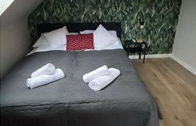 All Season Klimat - Dom przy szlaku z prywatnym tarasem i widokiem na Góry Orlickie - Sudety Sauna&Jacuzzi, Skalne Miasto, 4km do Zieleniec SKI Arena - Foto 35