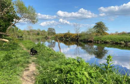 Spacious cottage - walk to Crieff - Photo 28