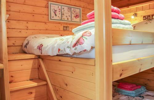 Manor Farm Lodges - Dragon Lodge - Foto 12