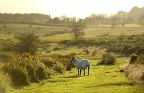 Captains Lookout (Studio apartment) - Photo 28