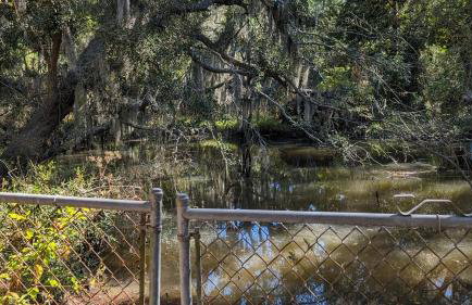 Robin's Nest Savannah - Foto 25