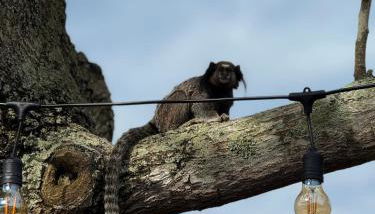 Casa pé na areia no Campeche - Foto 2