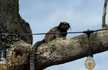 Casa pé na areia no Campeche - Foto 2