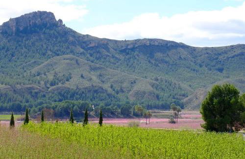 La Joya del Valle de Ricote - Foto 56