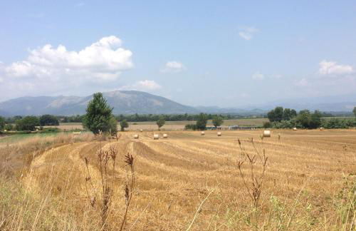 Dreams Valley - Foto 76