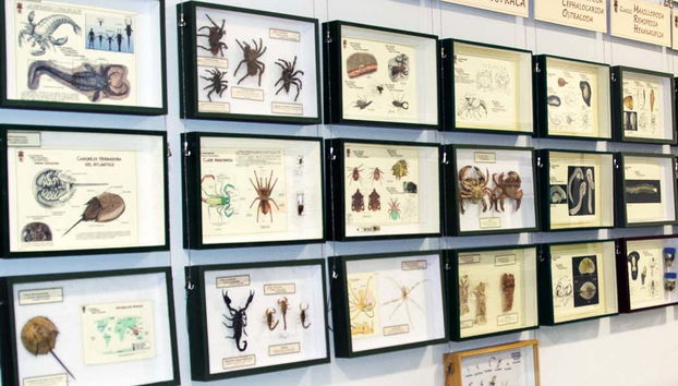 Aprenderemos sobre biologia