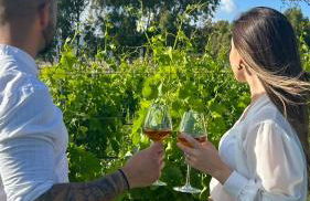 Is Cheas wine farm boutique hotel - Foto 26