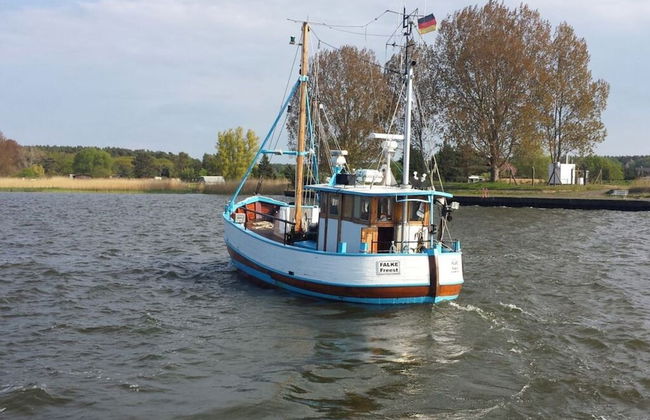 to the Beach Modern Retreat - Foto 11