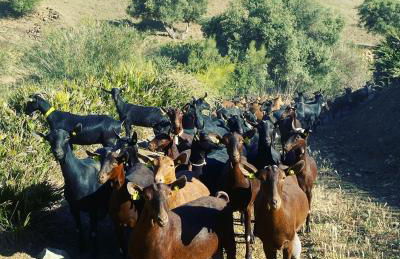 Villa Azafran - Foto 51